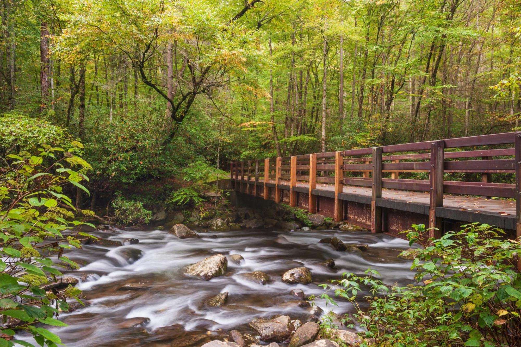 Hidden Memories, Hot Tub, 1089 Of Free Attraction Tickets For Each Paid Day, Dollywood And More Gatlinburg Exterior photo
